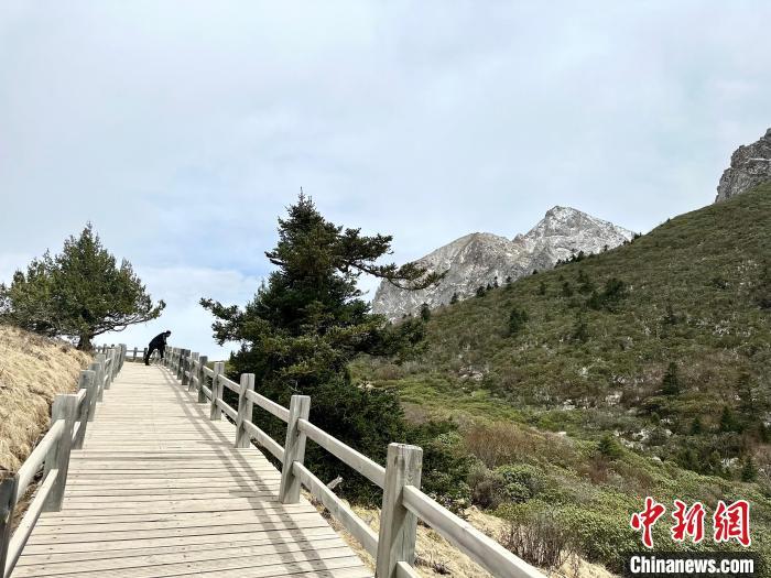 图为景区工作人员停在木栈道查看周边环境。官鹅沟由官珠沟、鹅嫚沟、雷古山等核心游览区组成，2022年被确定为国家5A级旅游景区。据了解，“五一”假期期间，雷古山索道往返票价享五折优惠。闫姣　摄