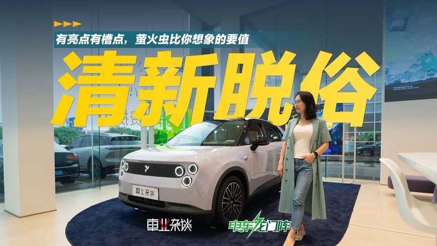 探店：并非理中客，有希望在电MINI和海豚之间撕口子