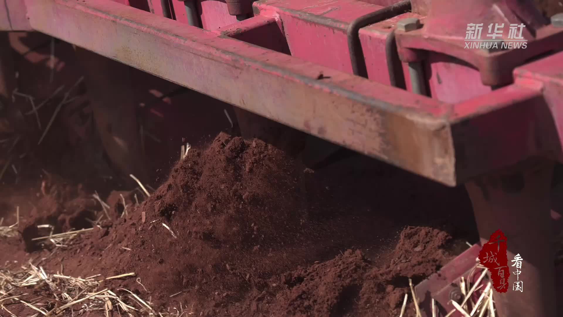 千城百县看中国｜内蒙古武川：越平凡越不凡