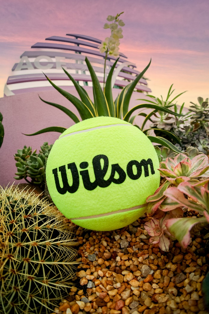 翩然主场,2025 Wilson ACE GIRL 全新升级,深圳起航