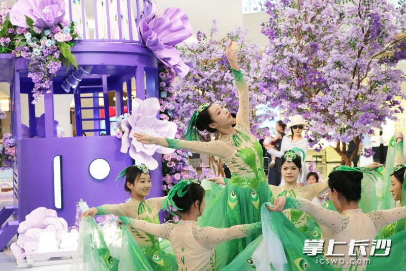 步步高星城天地的蓝花楹艺术主题展。通讯员 王萍供图