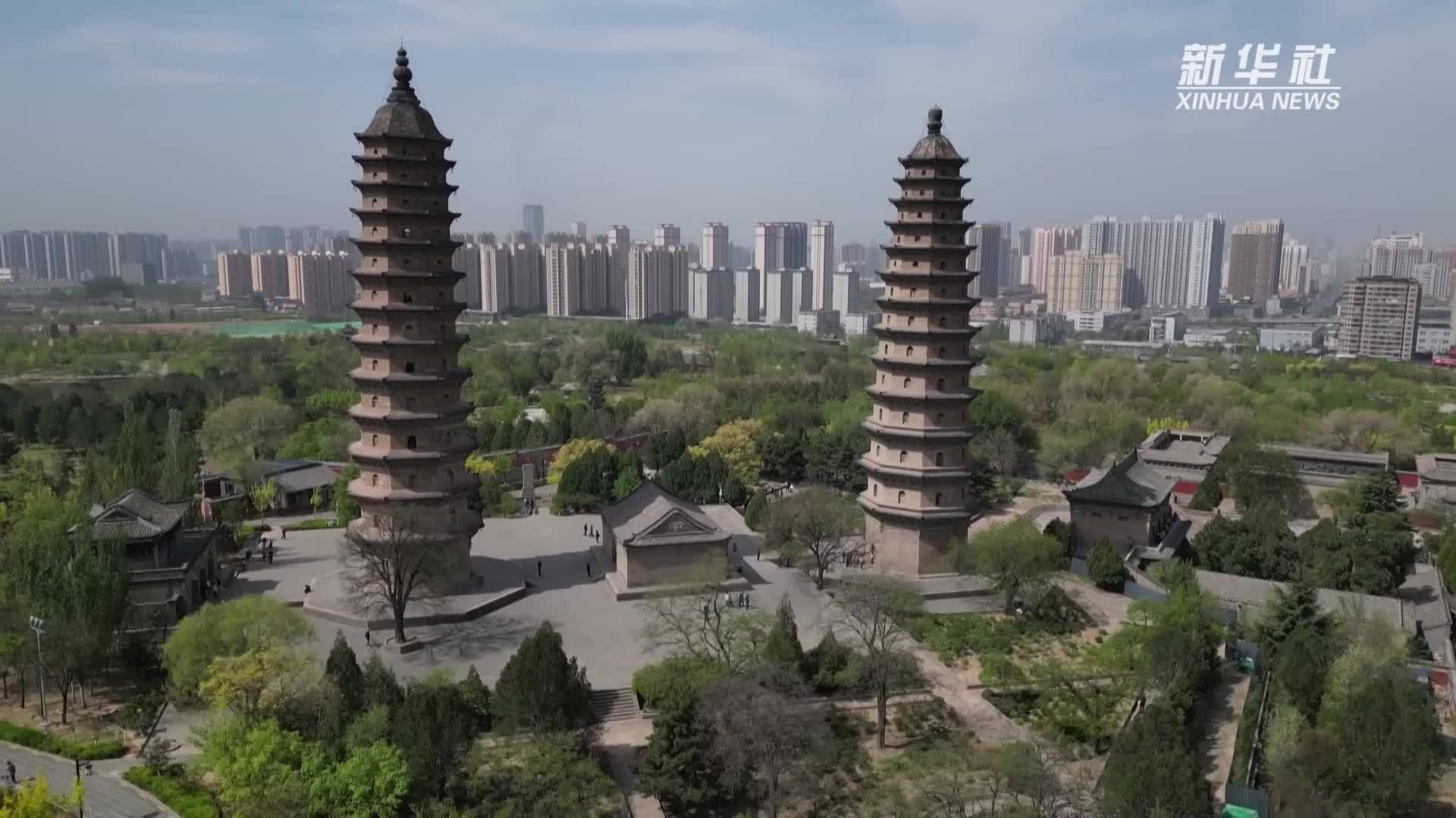 400多岁的明代牡丹“紫霞仙”绽放太原