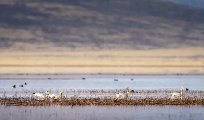 五一来甘南　线路都给你备好了