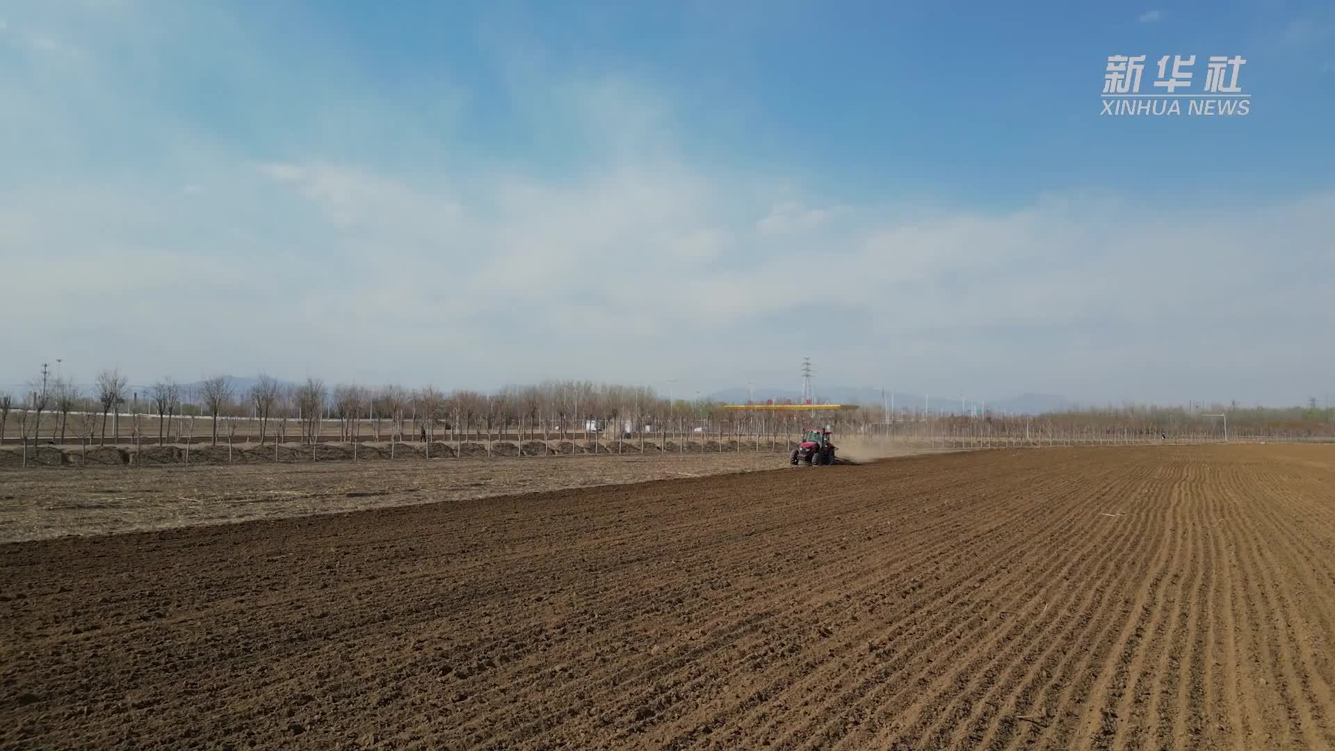 北京顺义：春耕春播忙 田间奏响“科技+劳动”协奏曲
