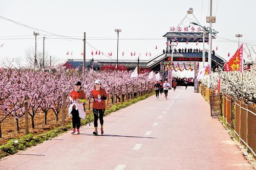 4月6日，在深州市蜜桃观光园，来自当地及周边县（市、区）的跑步爱好者在跑步。