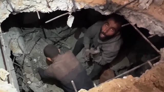 哈马斯：愿释放剩余人质寻求5年停火