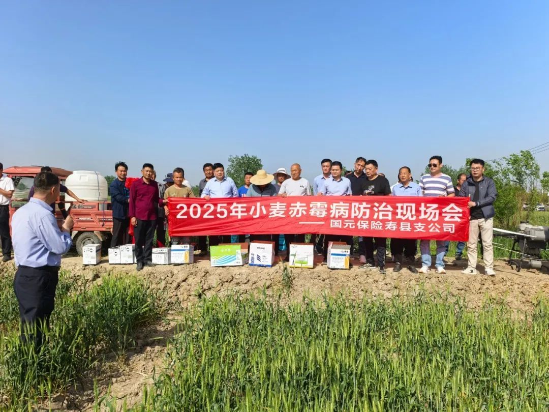 淮南现场会.jpg