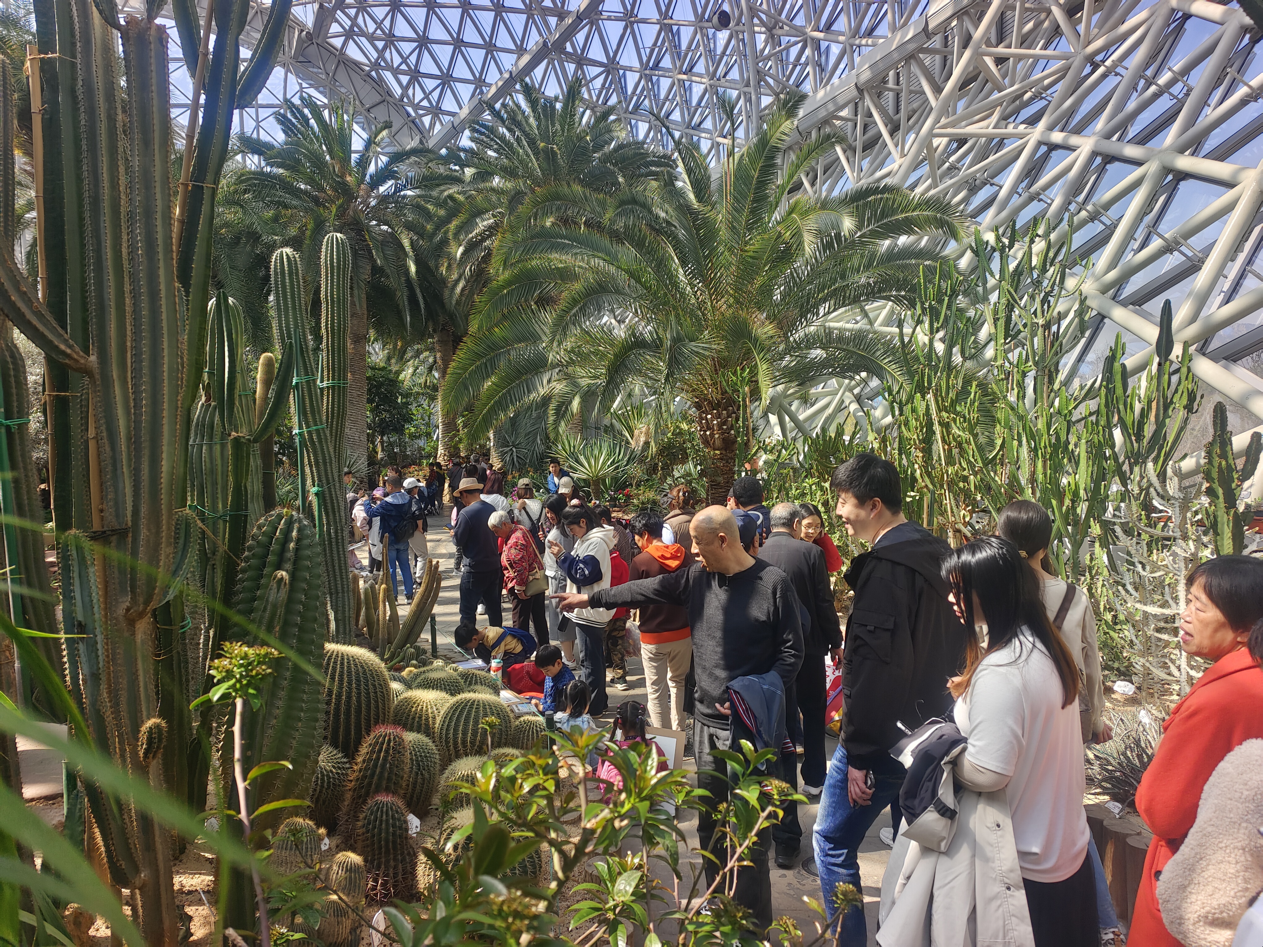 “五一”假期青岛世博园“趣”玩指南！ 绝美芝樱花海+萌宠互动+植物探秘…即刻出发！