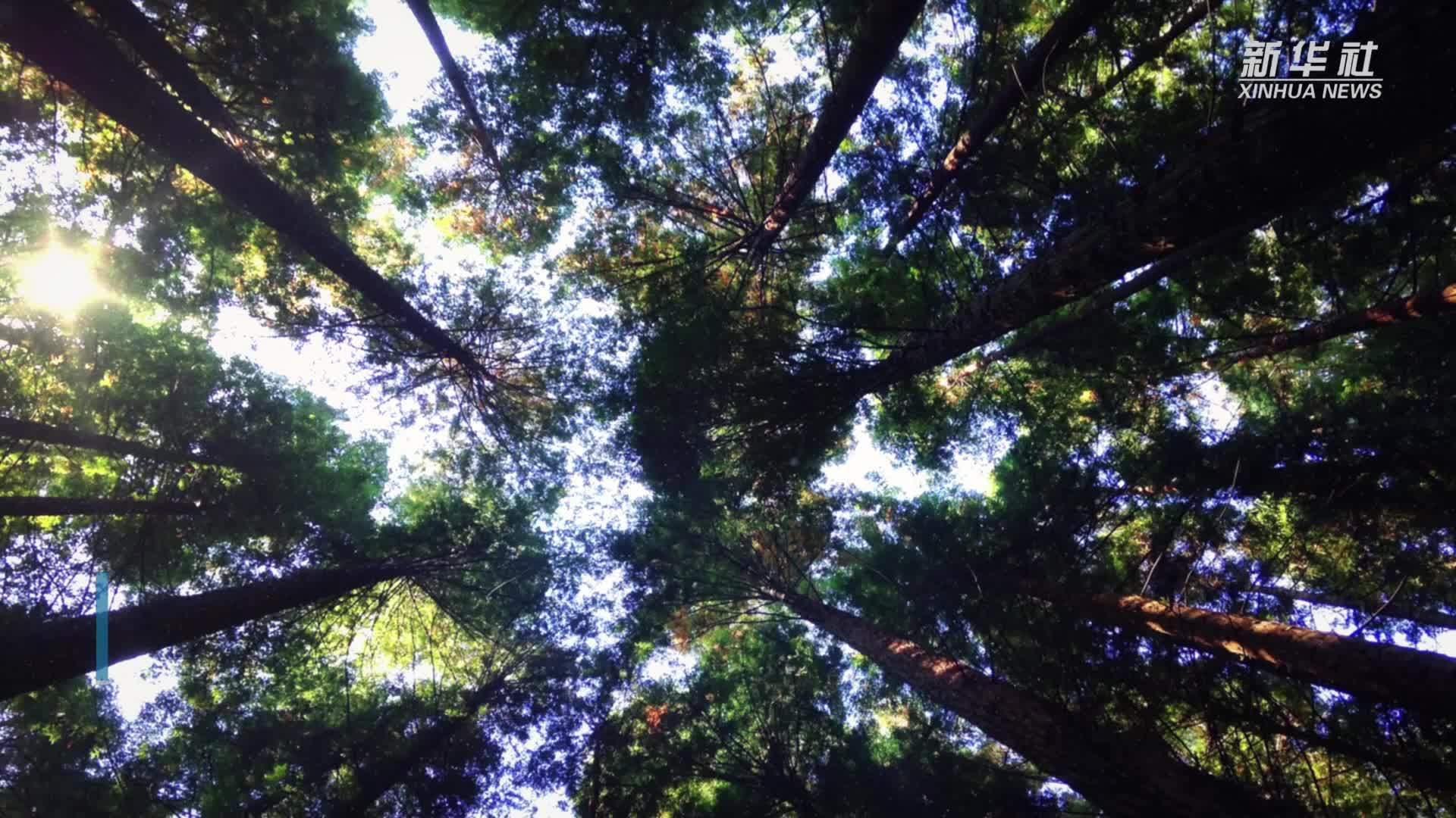 世界免疫周：专家建议老年人接种带状疱疹疫苗