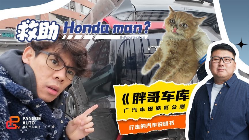 开了这么多年车，我竟然从车底救出一只猫？