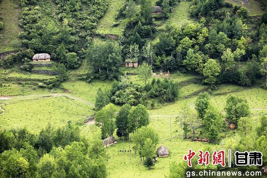 图为千坝牧场