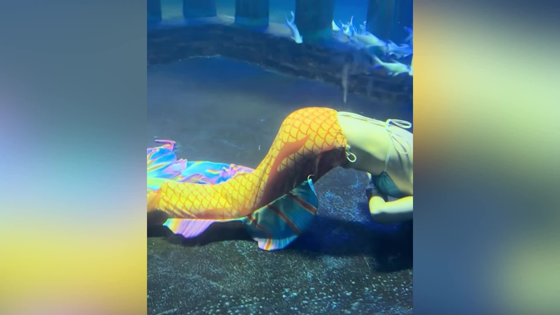 太原海洋大世界致歉：未核实时回应称美人鱼低血糖，对其及家属造成不良影响