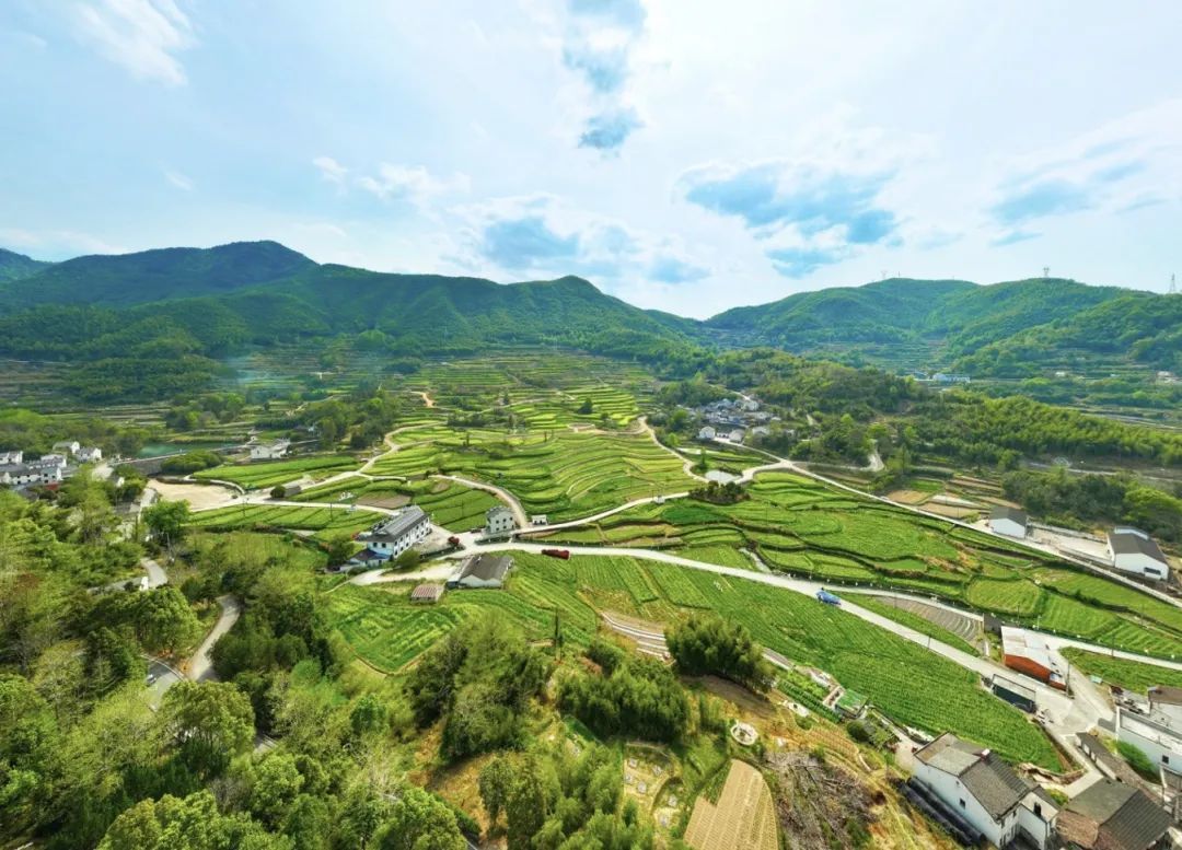 微信截图_20250424102836.png