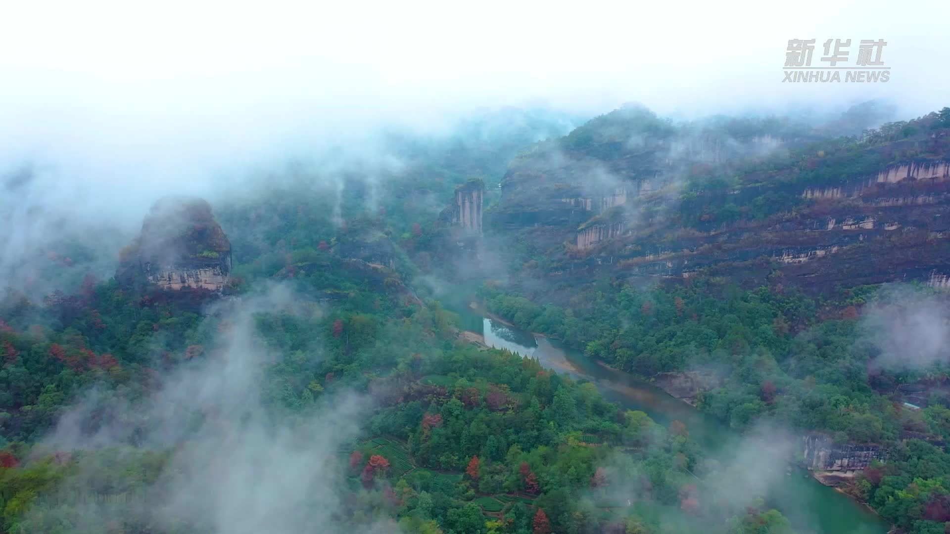 福建武夷山：无人机搭建“空中茶路”助力茶青高效运输