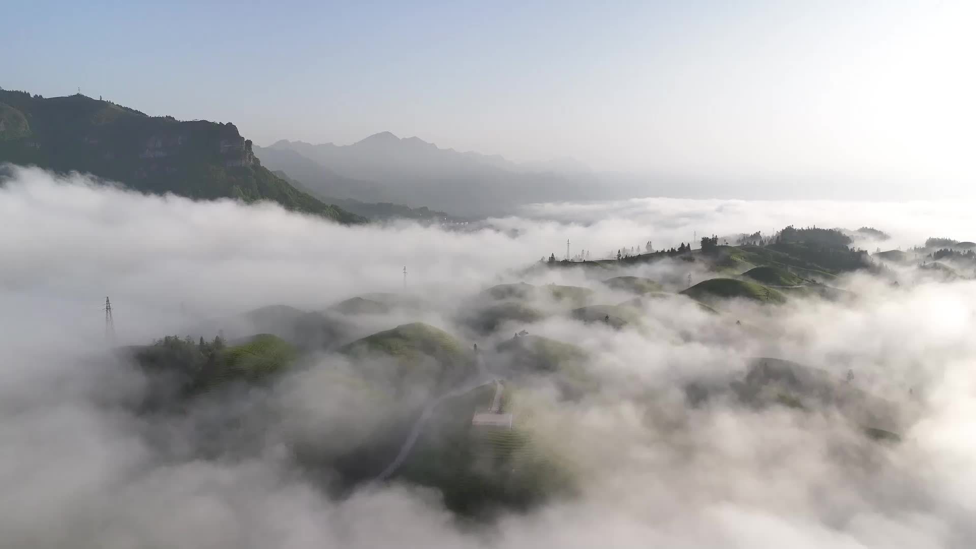 瞰中国｜云雾漫茶海 碧波染春山