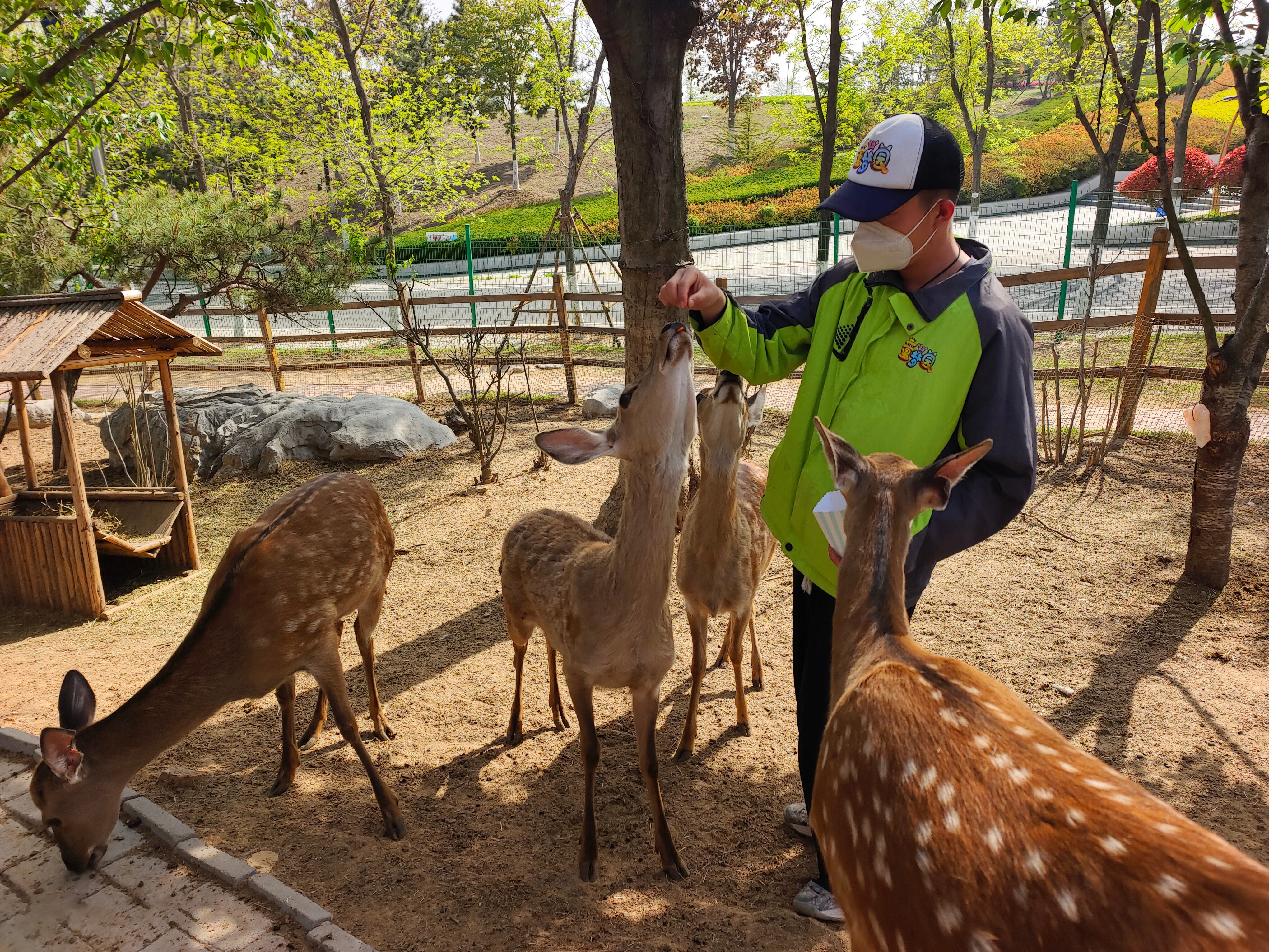 “五一”假期青岛世博园“趣”玩指南！ 绝美芝樱花海+萌宠互动+植物探秘…即刻出发！