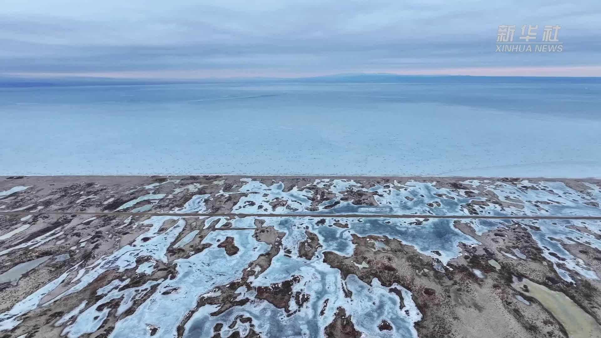 新疆阿勒泰：候鸟翔集 湿地生态焕新