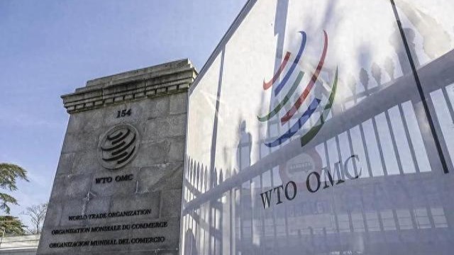 世贸爆发争吵，美掀桌失败，中国代表全面反攻，给美狠狠上了一课