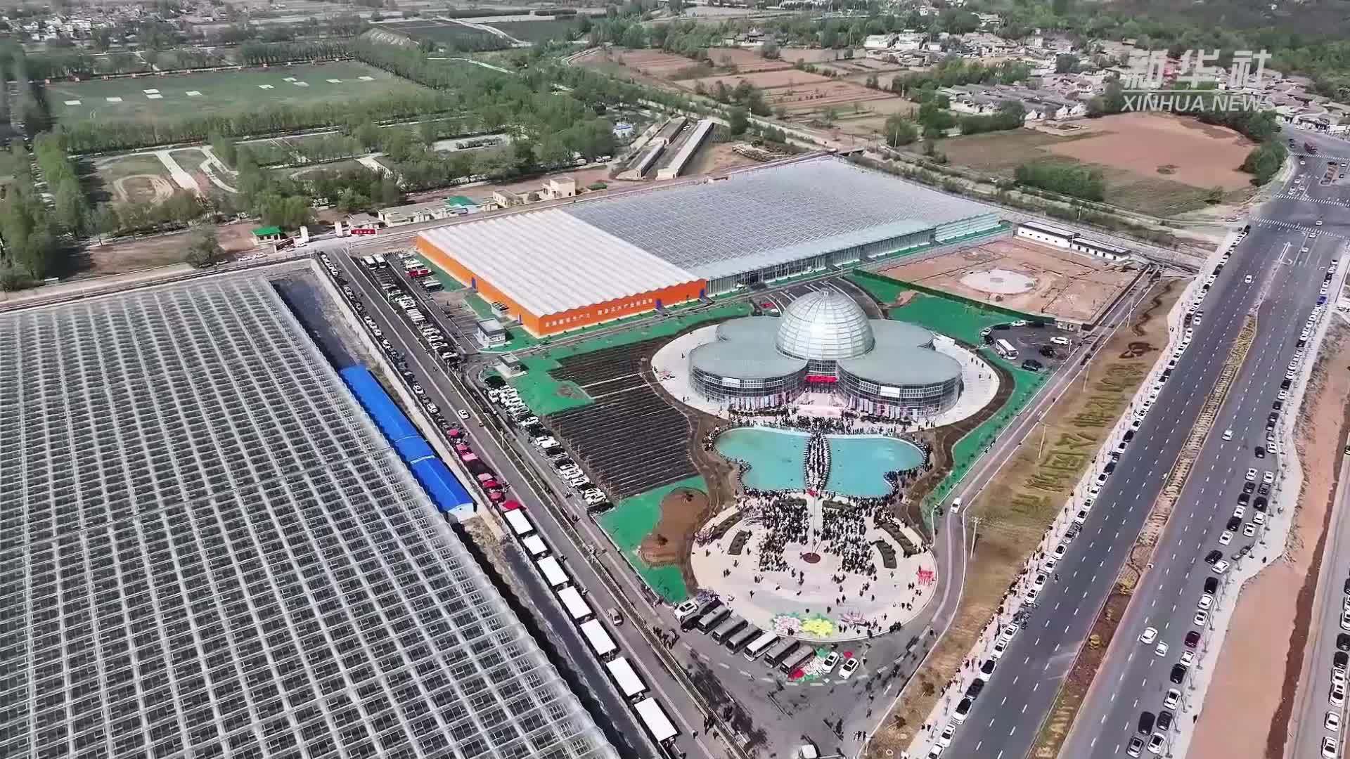 甘肃临夏：以花为媒迎客来