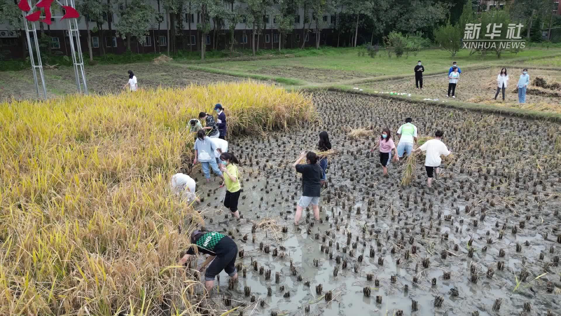 成都锦城学院：劳动实践课 人机齐上阵