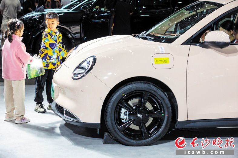 　　时尚的汽车造型让孩子们好奇不已，图为2024湖南车展现场。长沙晚报全媒体记者 董阳 摄