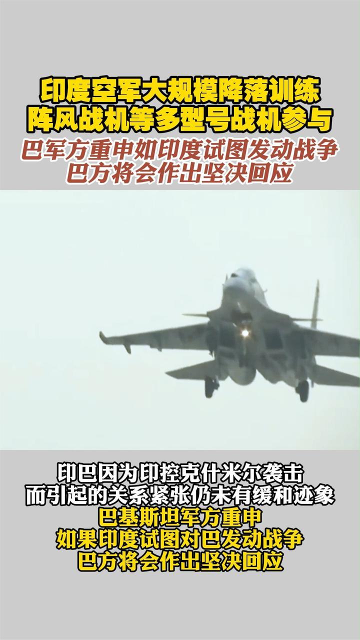 印度空军大规模降落训练 阵风战机等多型号战机参与