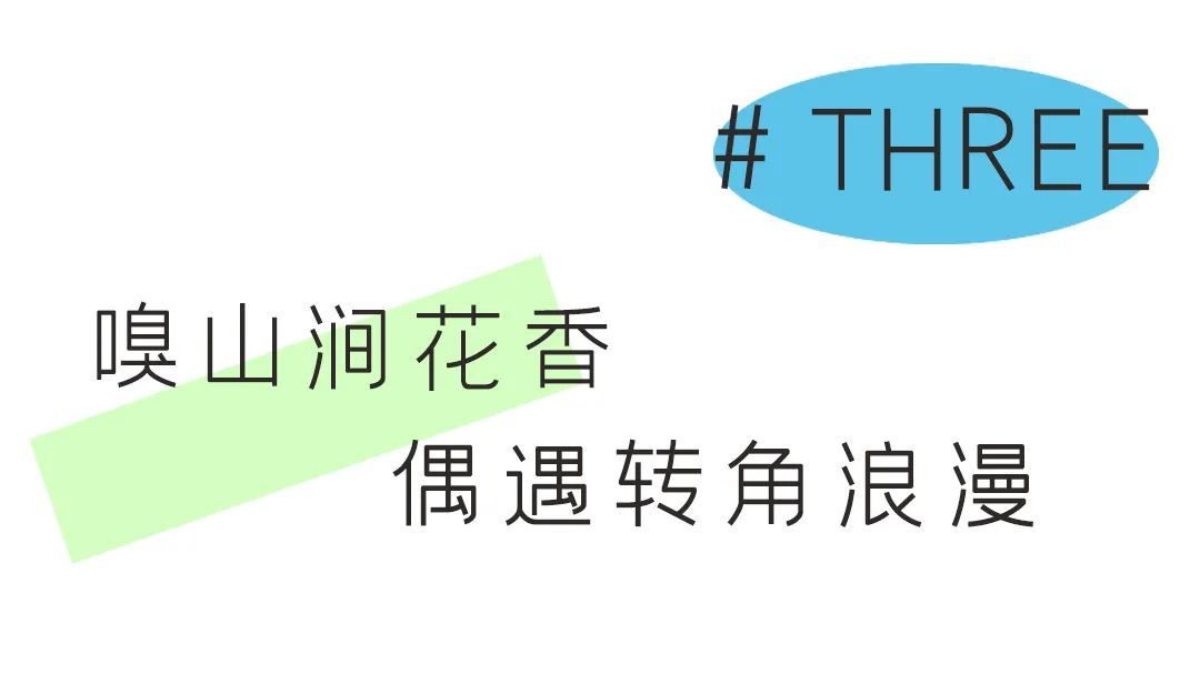 標(biāo)題3.jpg