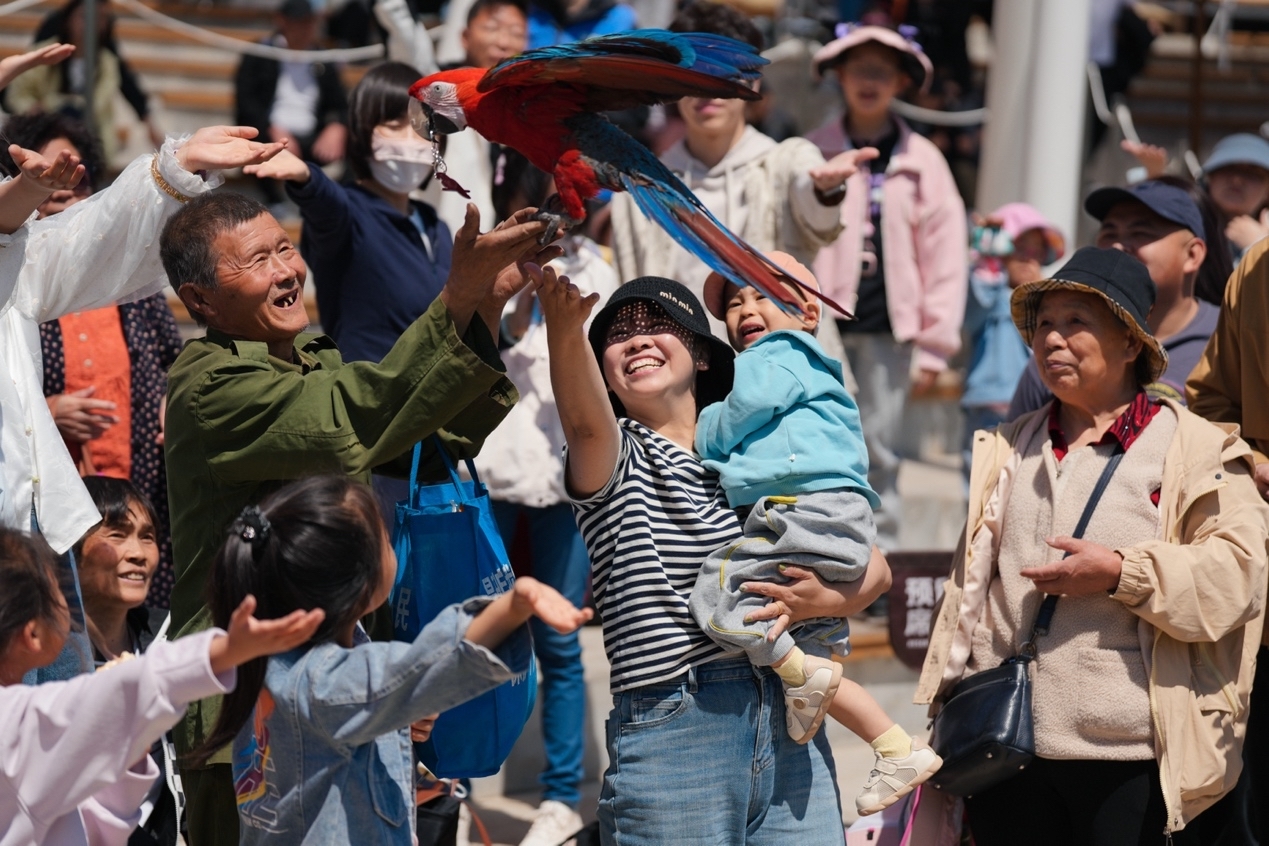 当烟花遇见沉浸式戏剧 秦皇岛北戴河新区夜游经济再添新引擎