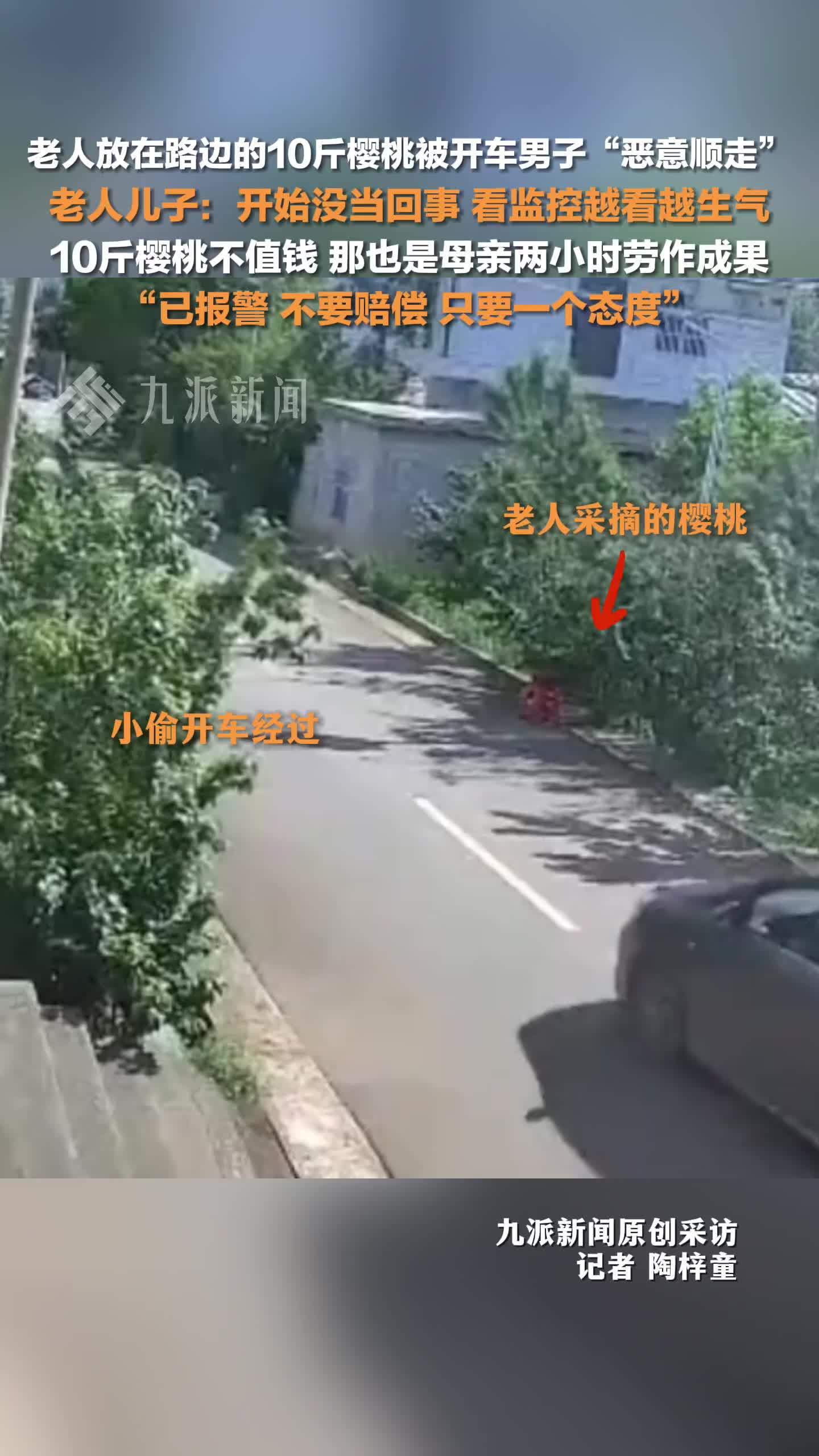 家属回应老人十斤樱桃被人恶意顺走：10斤樱桃不值钱，那也是母亲两小时劳作成果