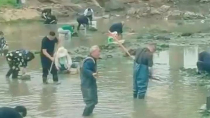 网传大批村民在卫河淘金，当地辟谣：河里没财宝！村民们捞了不少河蚌，为安全已劝导