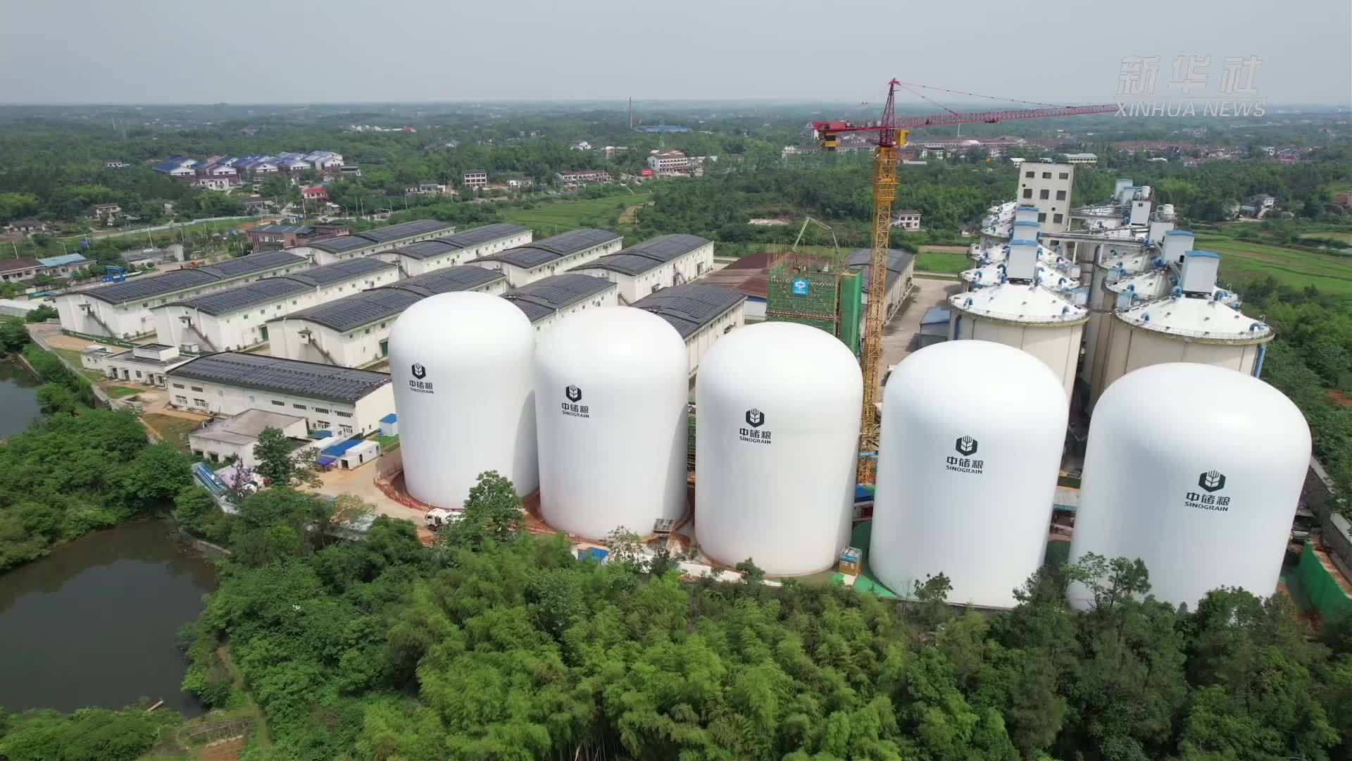 探访我国首批五座9000吨级气膜粮仓_凤凰网视频_凤凰网