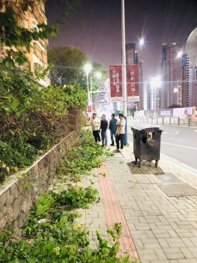三亚城市投资建设运营有限公司供图