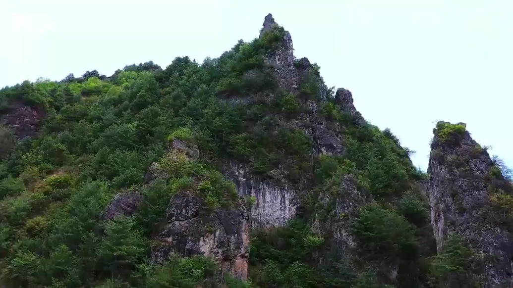 陇南：奇峰生青松　峡谷流甘泉