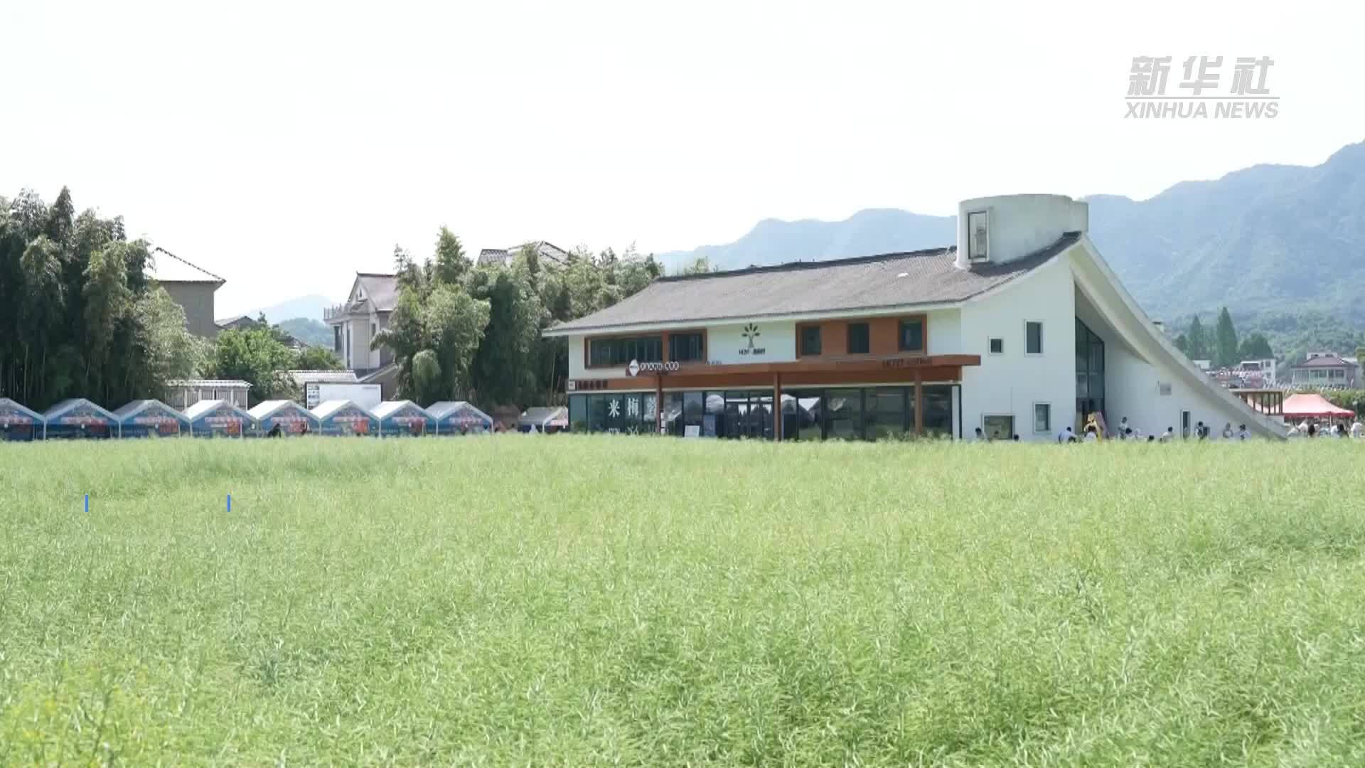 杭州桐庐：花式玩法引爆乡村游