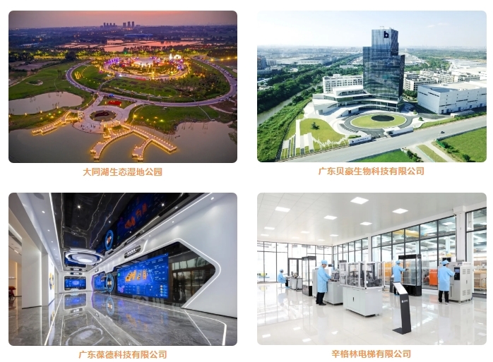 畅享“百千万工程”下的城乡新貌！乐平镇携手佛山市化妆品行业协会开启城市美学体验之旅