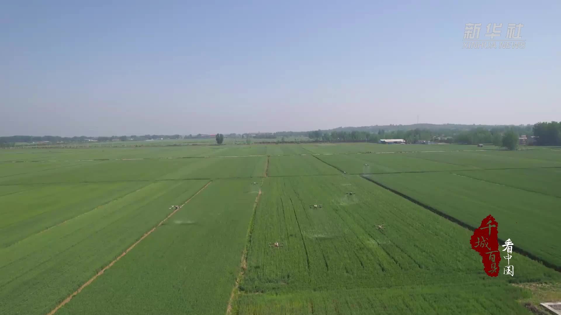 千城百县看中国｜山东临沭：“一喷三防”筑牢夏粮丰收“防护墙”