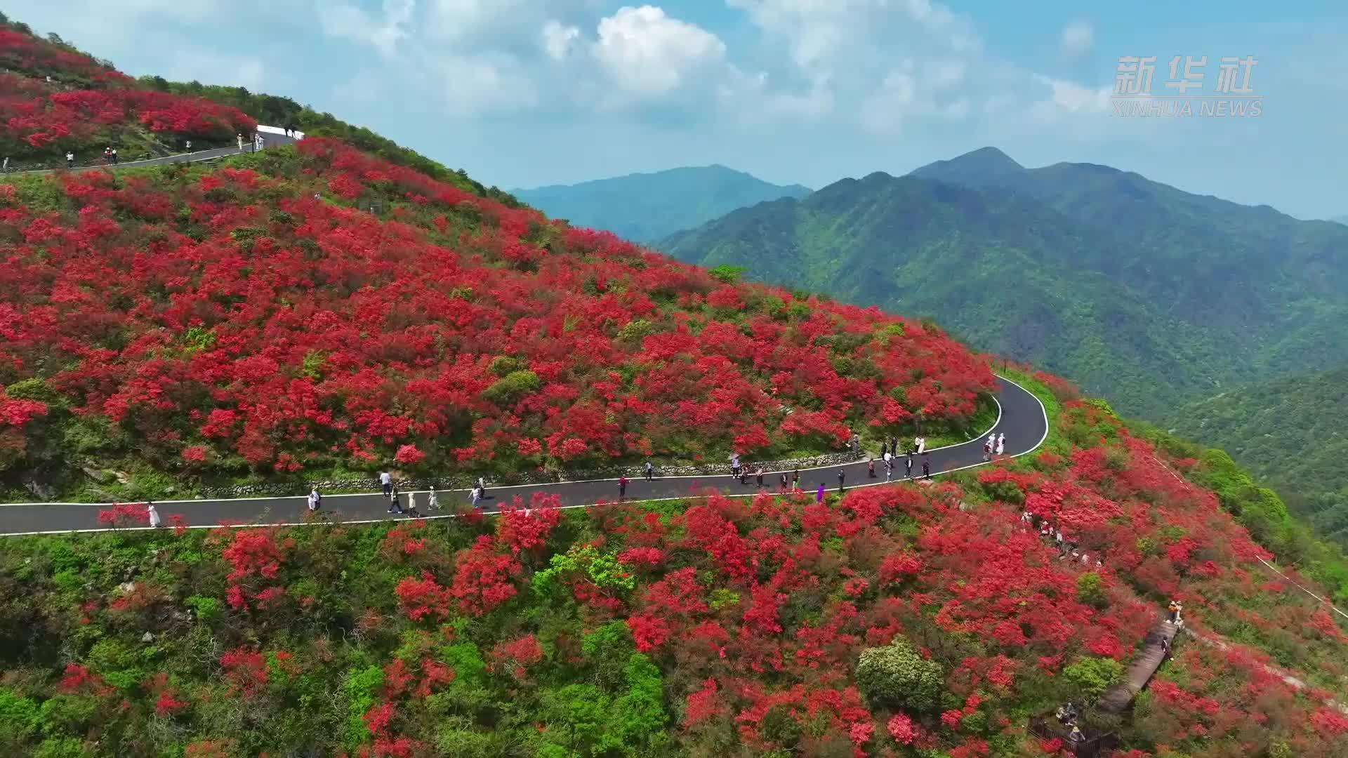 湖南双牌：科技解锁赏花游新玩法
