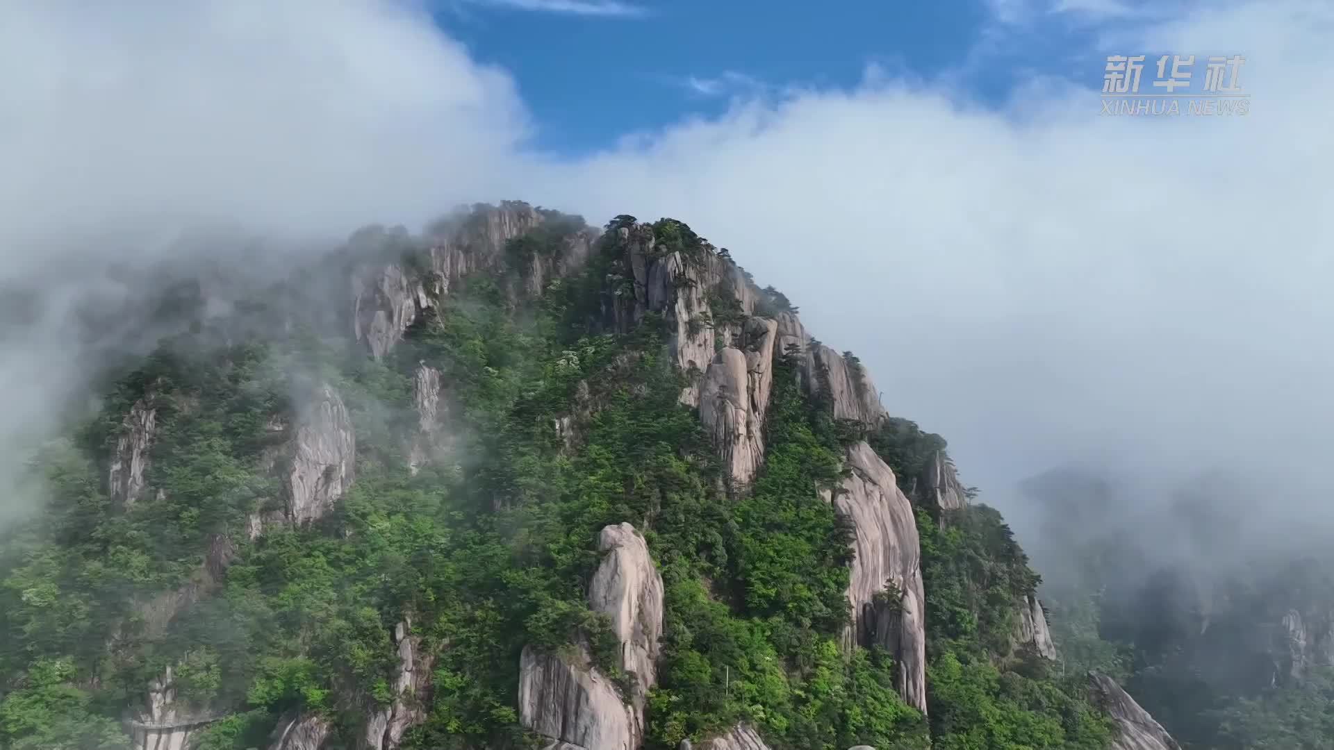 安徽九华山：壮美云海 如丹青画卷