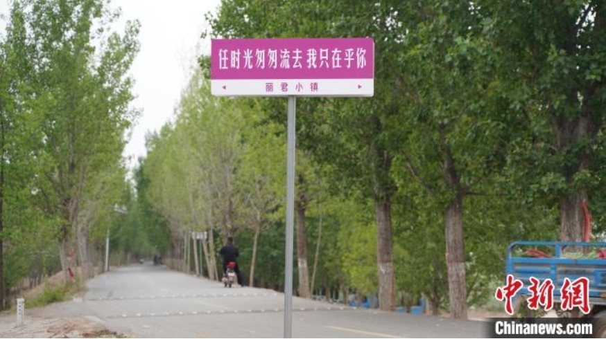 追忆邓丽君：河北大名邓台村再唱“小村之恋”