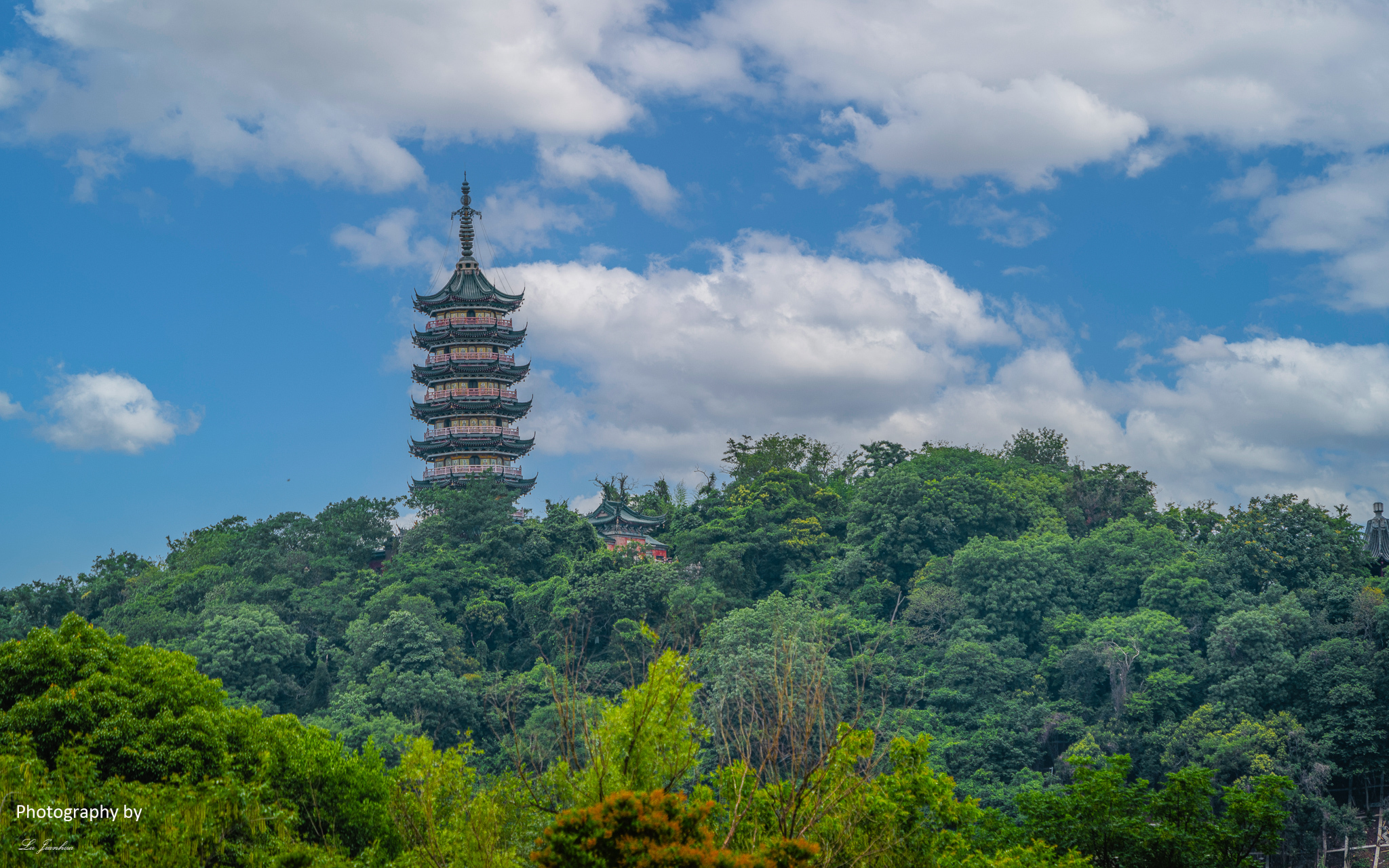摄影：陆建华