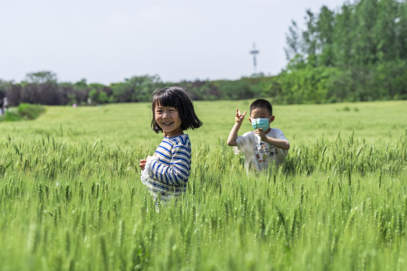 五一假期合肥近郊游火热，崔岗艺术村成热门！