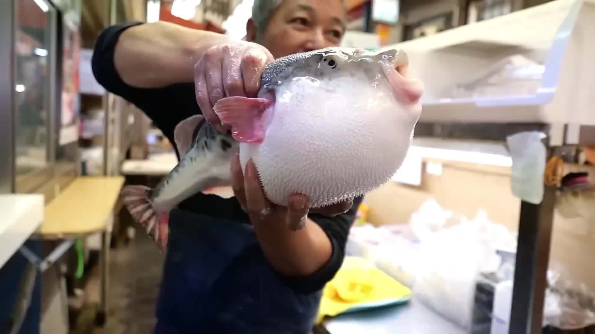 有毒的河豚鱼，见识一下老师傅是怎么杀来做刺身，鱼皮也是好东西