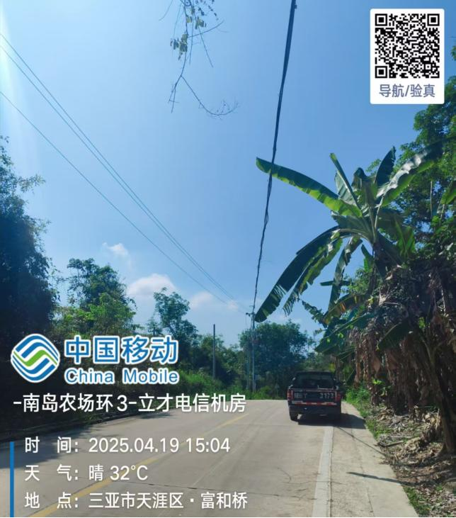 天涯区发展和改革委员会供图