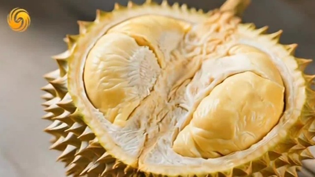 榴莲热量那么高，吃多了不会发胖？周受资保持身材的秘诀是什么？