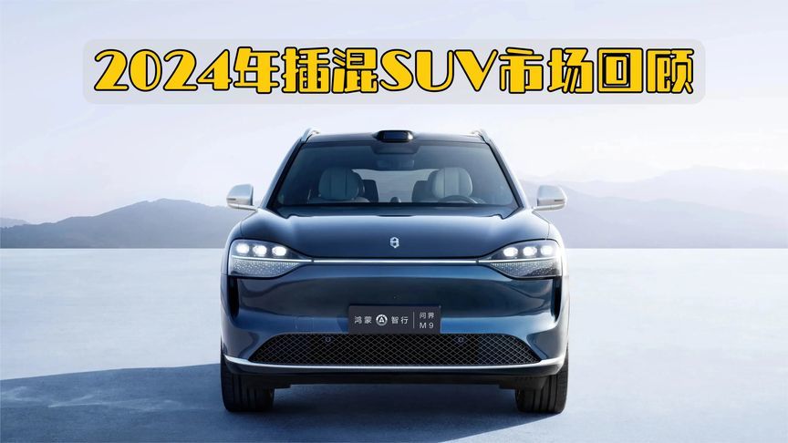 2024年插混SUV市场回顾