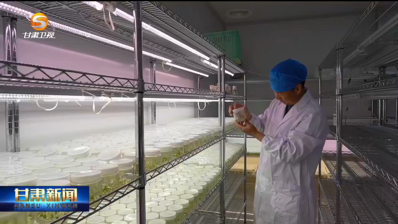 甘肃培育优势特色产业集群　奔赴乡村振兴好“钱”景