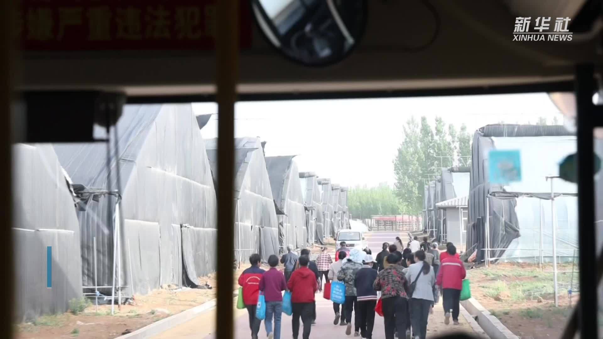 山西垣曲：免费公交开进食用菌产业园助力乡村振兴