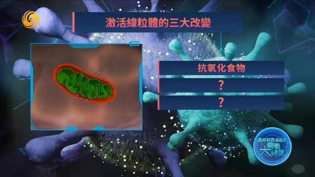 如何激活线粒体？成功企业家平时都吃什么？