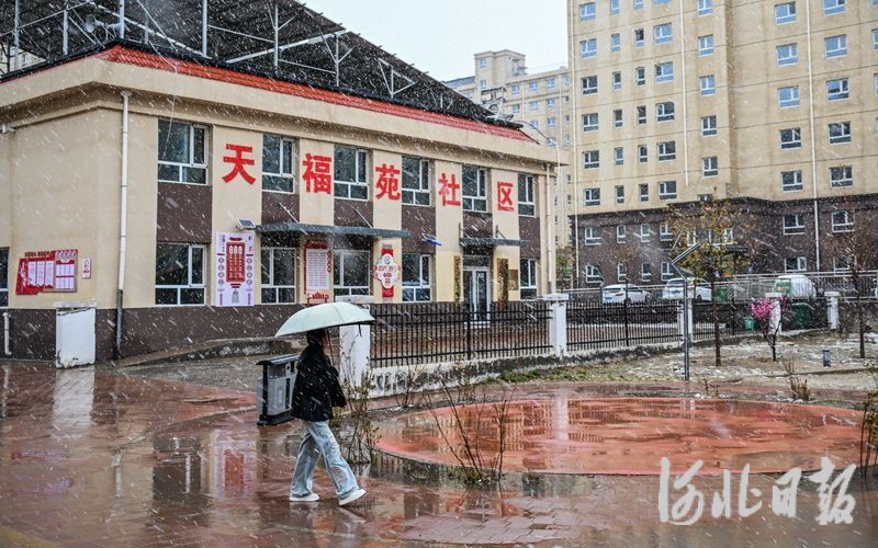 坝上降下雨夹雪4.jpeg