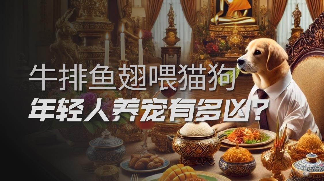 狗不嫌家贫，但铲屎官自己嫌，富养宠物为何如此流行？